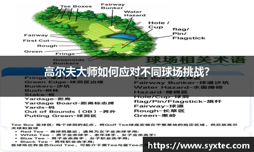 高尔夫大师如何应对不同球场挑战？